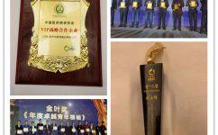 AGGAMEϲ���ʮ�����й�������ҽҩ��ҵ������̳��������