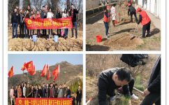 AGGAME��ʡ����չ��ֲ�����֡��˶�