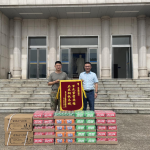 ����ϸ���Ž� ������������